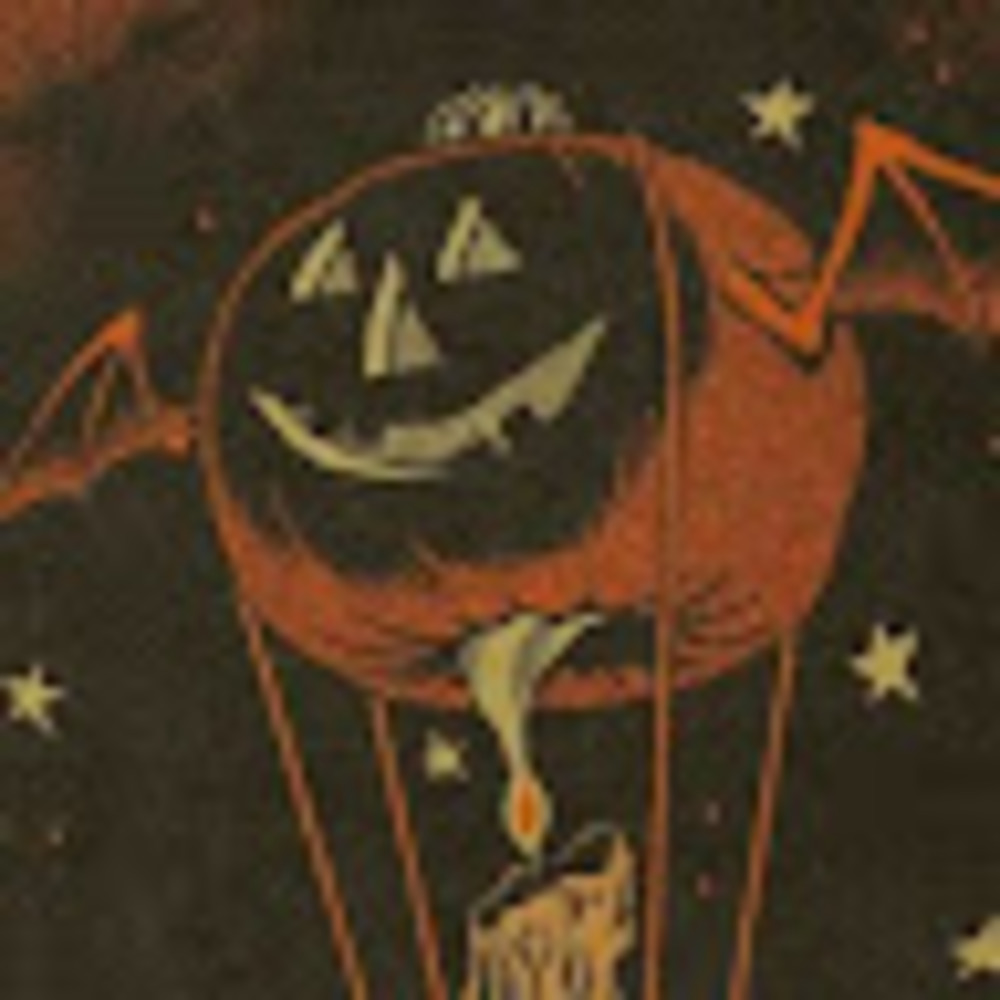 Meet your Posher, Tisheena